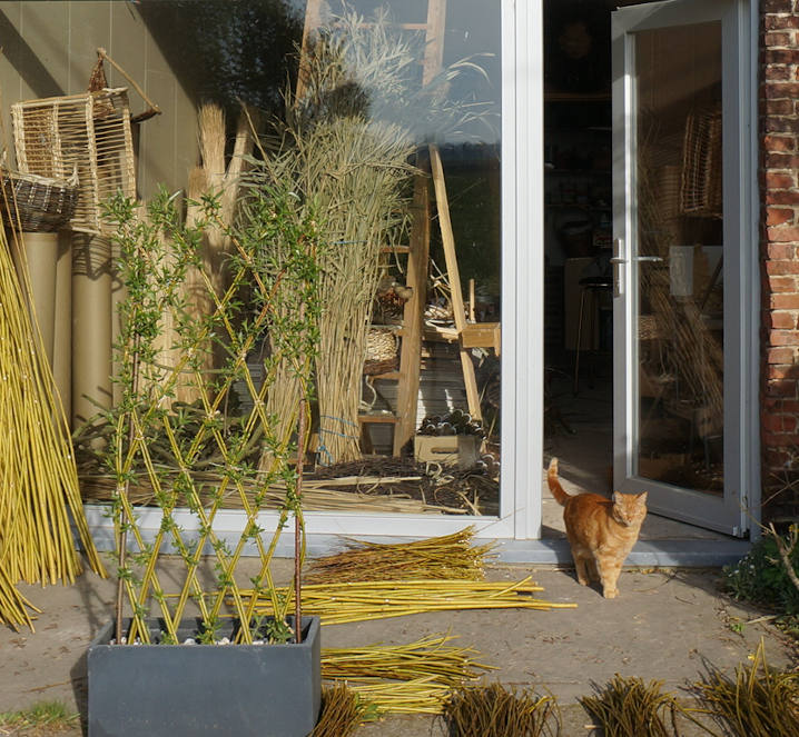 Vitrine atelier - Les Liens Naturels - Atelier de Vannerie - Audrey Alvarez - Ladeuze - Belgique