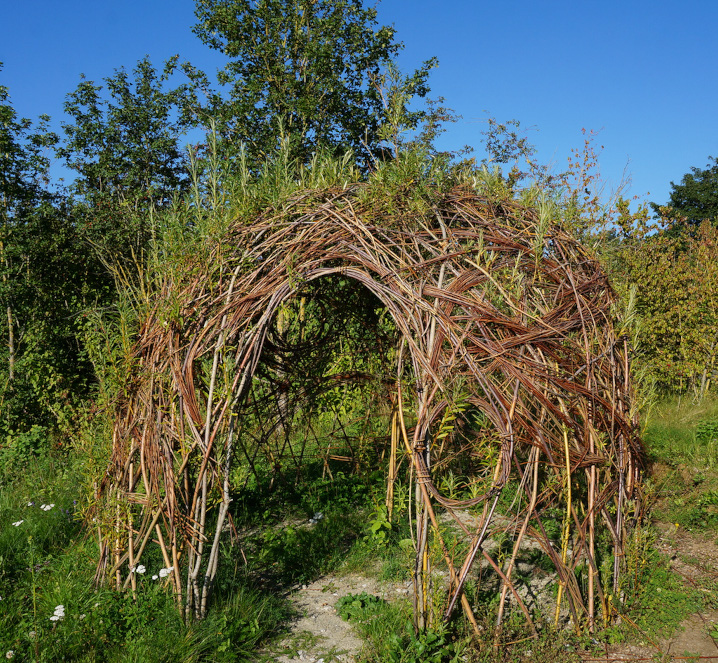 Cabane en osier vivant - Les Liens Naturels - Atelier de Vannerie - Audrey Alvarez - Ladeuze - Belgique