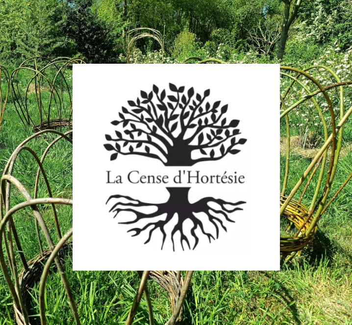 Initiation en Vannerie - Les Liens Naturels - Atelier de Vannerie - Audrey Alvarez - Ladeuze - Belgique