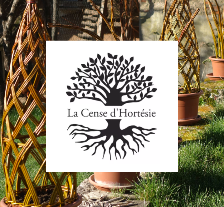 Initiation en Vannerie - Les Liens Naturels - Atelier de Vannerie - Audrey Alvarez - Ladeuze - Belgique