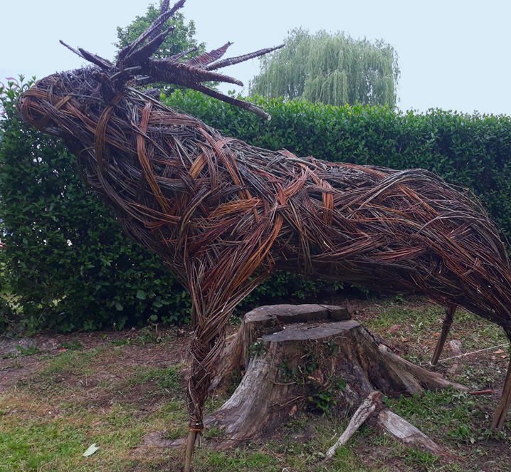 cerf d'osier - Les Liens Naturels - Atelier de Vannerie - Audrey Alvarez - Ladeuze - Belgique