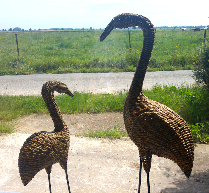 Détail rénovation sculpture oiseau en feuille de massettes - Les Liens Naturels - Atelier de Vannerie - Audrey Alvarez - Ladeuze - Belgique