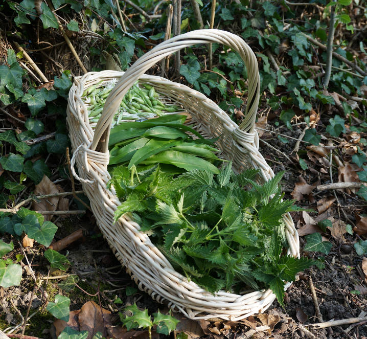 panier de cueillette - Les Liens Naturels - Atelier de Vannerie - Audrey Alvarez - Ladeuze - Belgique