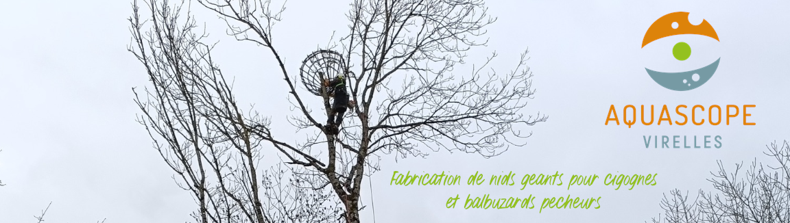 Les Liens Naturels - Vannerie en WAPI - Audrey Alvarez, artisane vannièrr - Belgique - Ladeuze - Wallonie picarde